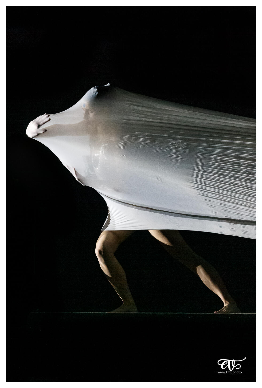 ILLUSIONS (BALLET NAUTIQUE DE STRASBOURG - BNS)