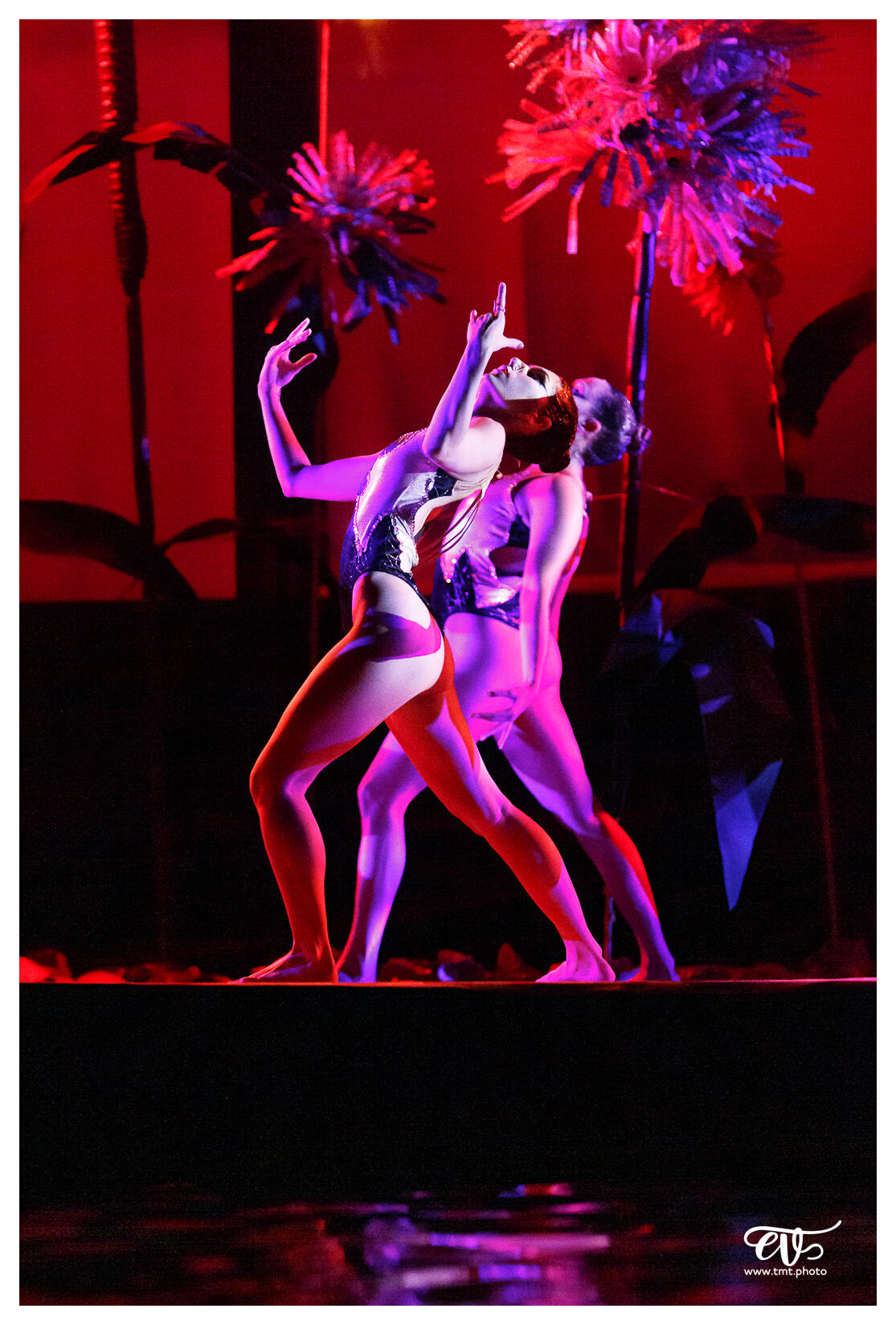 ILLUSIONS (BALLET NAUTIQUE DE STRASBOURG - BNS)