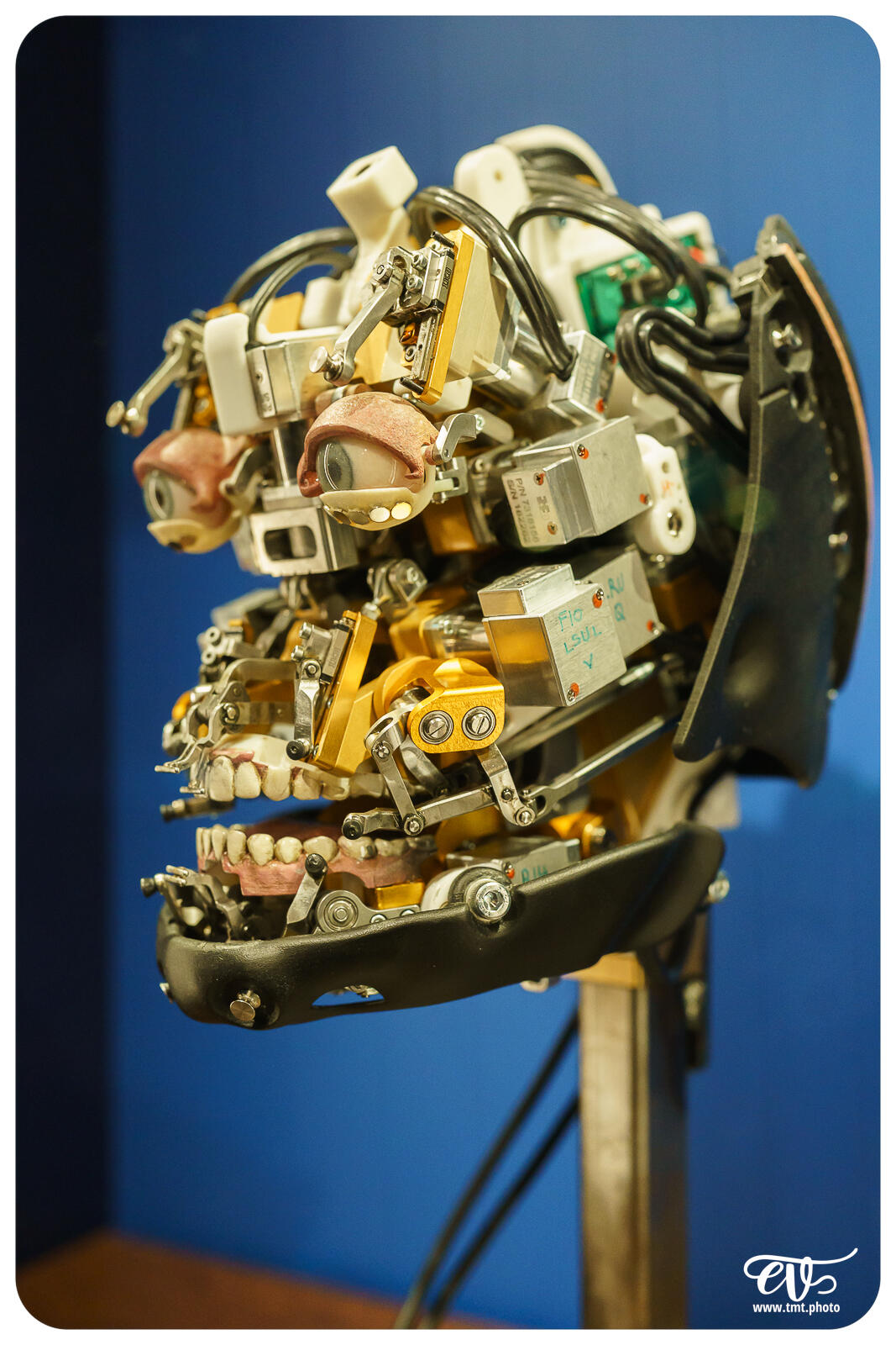 TMTPHOTO DISNEY100 121